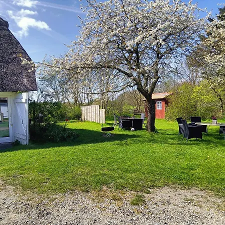 Faebrogaard Guest house 3*